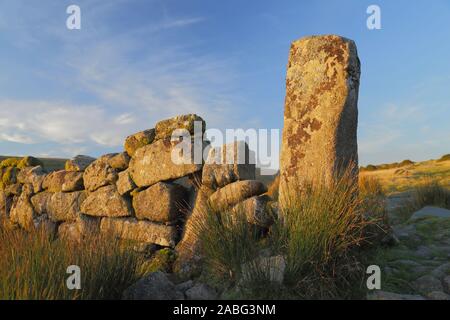 Sentiero roccioso nel Parco Nazionale di Dartmoor, Devon Foto Stock