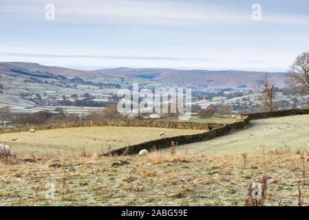 Frosty giorno in Wensleydale Foto Stock