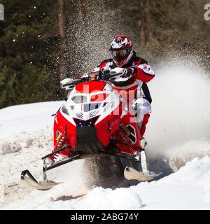 Impennata nella gara di motoslitte Foto Stock