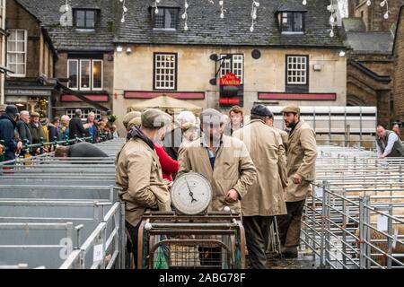 A Uppingham, Rutland, UK. 27 Nov, 2019. Gli espositori a Uppingham Fat Stock show. Credito: Michael David Murphy / Alamy Live News Foto Stock