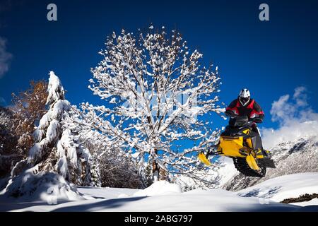 Impennata nella gara di motoslitte Foto Stock