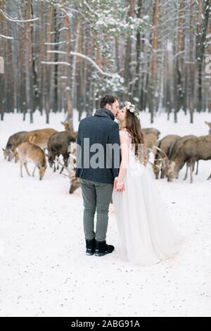 Giovane bella amorevole sposi baciare e tenendo le mani, outdoor in inverno in un elegante abito nuziale. Deer sullo sfondo. Bellezza Foto Stock