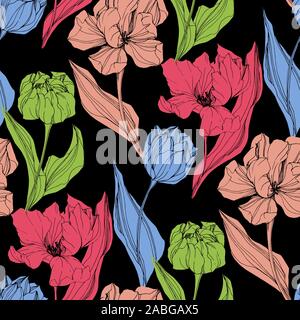 Tulip vettore inchiostro inciso art. Floreale di fiori botanica. Perfetta configurazione di sfondo. Tessuto di stampa sfondo texture. Illustrazione Vettoriale