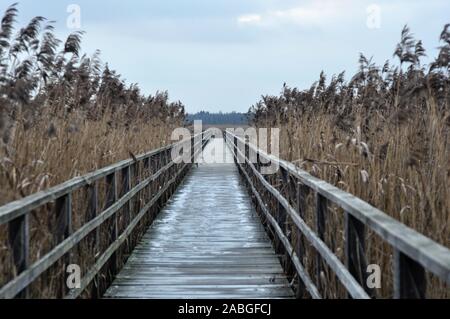 Bellissimo lago bavarese in inverno Foto Stock