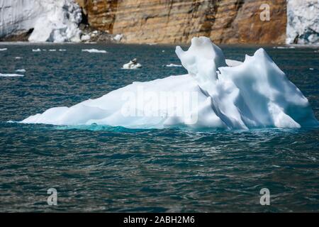 Iceberg galleggia nel lago nel deserto del Montana Foto Stock