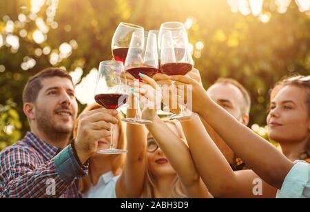 Happy amici avendo divertimento all'aperto al termine di una bella giornata d'autunno in una vigna - Focus su mani tostare il vino rosso con occhiali da sole - flare Frien Foto Stock