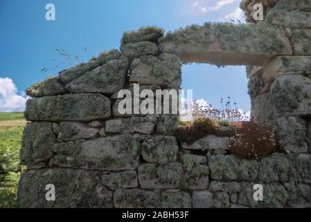 Il triste rovine della beccaccia's cottage, abbandonato nel 1855, in quanto isola disabitata di Sansone, isole Scilly, England, Regno Unito Foto Stock