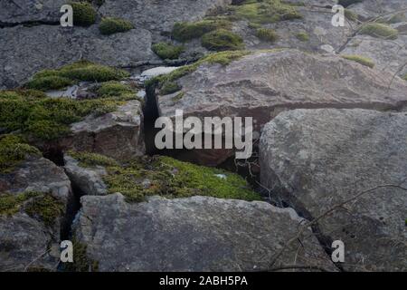 Grandi pietre coperte di MOSS al sole Foto Stock