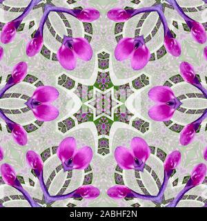 Mandala meditazioni - whirligig daisy Foto Stock