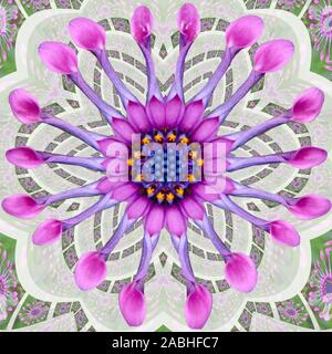 Mandala meditazioni - whirligig daisy Foto Stock