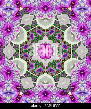 Mandala meditazioni - whirligig daisy Foto Stock