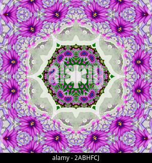 Mandala meditazioni - whirligig daisy Foto Stock