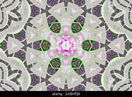 Mandala meditazioni - whirligig daisy Foto Stock