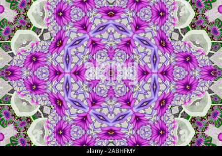 Mandala meditazioni - whirligig daisy Foto Stock