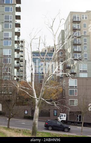 'Split' una scultura da Roxy Paine, presso Olympic Sculpture Park a Seattle, Washington, Stati Uniti d'America. Foto Stock