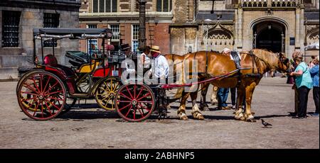 Amsterdam Olanda Giugno 2019 piazza Dam cavalli e trasporto per i turisti di fronte alla grande chiesa e la Diga palace mentre i turisti feed i cavalli Foto Stock