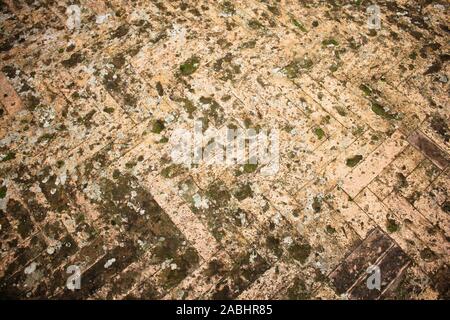 Mattoni di colore arancione pavimento piastrellato con andamento a zig-zag texture dello sfondo. Foto Stock