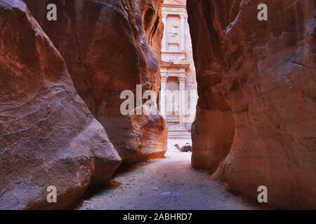 Il Tesoro (Al Khazneh) di Petra antica città con il cammello, Giordania Foto Stock