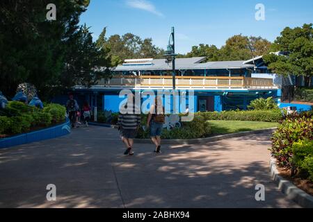 Orlando, Florida . Novembre 22, 2019. Killer Whale visione subacquea a Seaworld Foto Stock