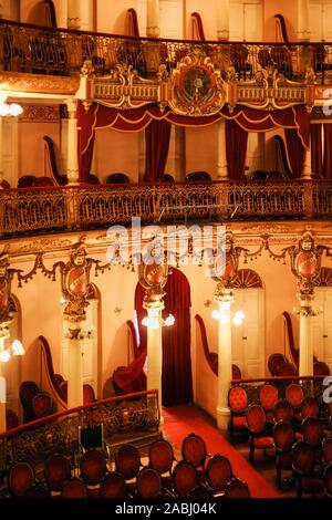 Auditorium, Opera House, il Teatro Amazonas, Manaus, Brasile Foto Stock