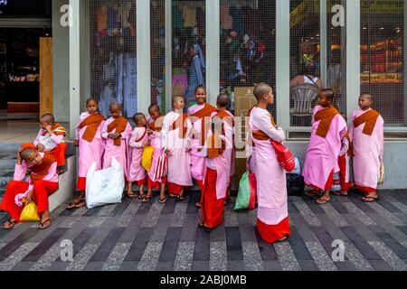 Un gruppo di giovani Thilashin (giovane buddista monache) Yangon, Myanmar. Foto Stock