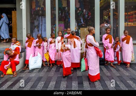 Un gruppo di giovani Thilashin (giovane buddista monache) Yangon, Myanmar. Foto Stock