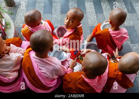 Un gruppo di giovani Thilashin (giovane buddista monache) Yangon, Myanmar. Foto Stock