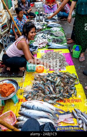 La popolazione locale la vendita di pesce fresco e frutti di mare a 26th Street Market, Yangon, Myanmar. Foto Stock