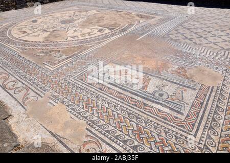 Mosaici romani nella casa di Orfeo nel III secolo A.C. la città romana rovine di Volubilis sito archeologico (Meknes, Fès-Meknès, Marocco) Foto Stock