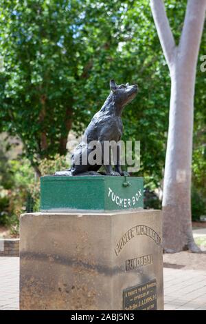 Cane sulla scatola del piegatore, Legenda australiano Foto Stock