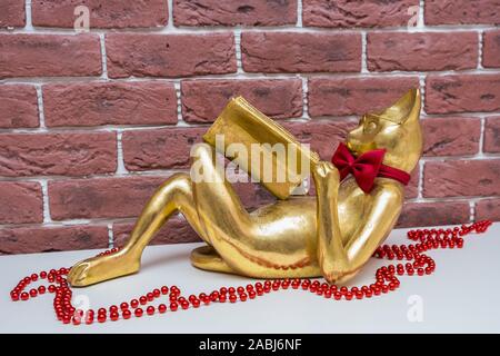 Golden cat leggendo un libro giace su una superficie bianca con perle di rosso, living room interior Foto Stock