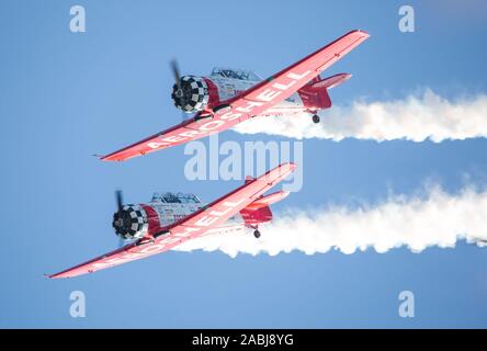 MONROE, NC (USA) - 9 Novembre 2019: due aerei acrobatici volare in formazione serrata mentre si esegue in Warbirds su Monroe Air Show. Foto Stock