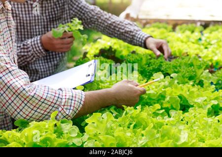 Fattoria di hydroponics ,test di lavoratore e di raccogliere i dati ambientali da lattuga hydroponic organici vegetali alla fattoria di serra giardino. Foto Stock