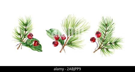 Natale mazzi con rami di pino e bacche rosse isolato su sfondo bianco. Le illustrazioni ad acquerello impostato per la celebrazione del nuovo anno, saluto Foto Stock