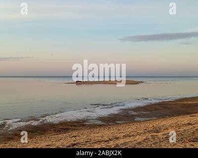 Il fiume Gauja fluisce nel Mar Baltico Mare golfo di Riga. Rotture di pini dopo la tempesta e lavato fino a riva. Tronchi d albero lavato una riva nella spiaggia di COA Foto Stock