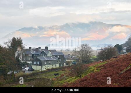 Campo di bestiame accanto a The Borrowdale Hotel sulla riva della nube coprì il lago Derwentwater, Borrowdale, Lake District, Cumbria, Inghilterra, con sole mai Foto Stock