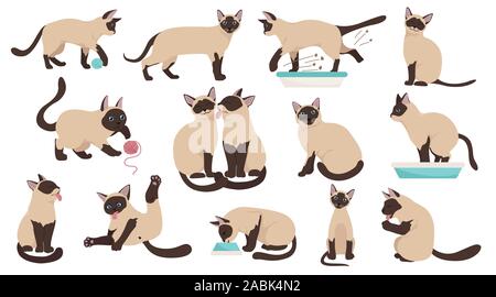 Cartoon cat raccolta di caratteri. Diversi gatto pone, yoga e di emozioni. Schermo piatto a colori e stile semplice design. Siamese gatto colorpoint. Vector illus Illustrazione Vettoriale