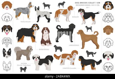 Designer cani, incroci, hybrid mix collezione pooches isolato su bianco. In stile appartamento cane clipart set. Illustrazione Vettoriale Illustrazione Vettoriale