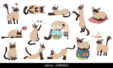 Cartoon cat raccolta di caratteri. Diversi gatto pone, yoga e di emozioni. Schermo piatto a colori e stile semplice design. Siamese gatto colorpoint. Vector illus Illustrazione Vettoriale