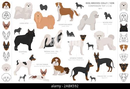 Compagno e miniatura toy cani raccolta isolati su bianco. In stile appartamento. Colore diverso e il paese di origine. Illustrazione Vettoriale Illustrazione Vettoriale
