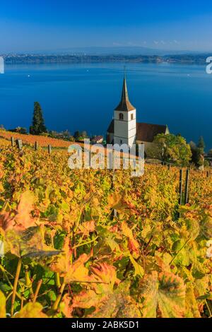 Chiesa e vigneti presso il villaggio Ligerz sul Lago di Bienne nel prossimo autunno. Bern, Svizzera Foto Stock