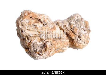 Ambergris, ambre gris, ambergrease o ambra grigia. Isolato su sfondo bianco Foto Stock