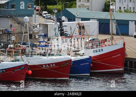 Barche da pesca legato fino al molo a Oban, Argyle, Scotland, Regno Unito, Europa Foto Stock