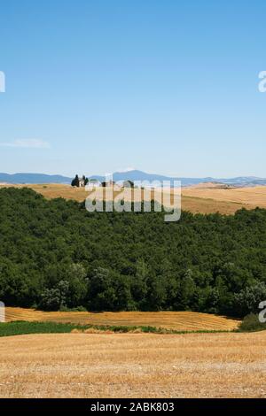 Una vista in lontananza la cappella della Madonna di Vitaleta Capella e l'estate campagna Toscana paesaggio della Val d'Orcia, Pienza, Toscana, Italia Europa Foto Stock