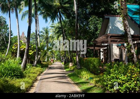16.11.2019, Phuket, Thailandia, Asia - giardini privati con palme presso il Moevenpick Resort & Spa Karon Beach Phuket. Foto Stock
