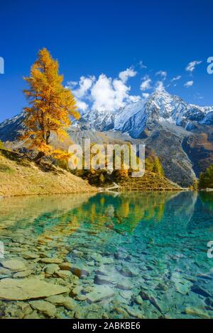 Il lago Lac Bleu con la montagna Dent de Perroc (3676 m). Vallese, Svizzera Foto Stock