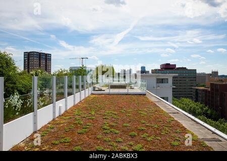 Eindhoven, Paesi Bassi, 2 giugno 2019. Una vista del giardino sul tetto dell'ex fabbriche di Philips che sono trasformate in city loft durante una Foto Stock