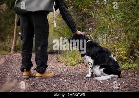 Un simpatico bella stabyhoun bianco e nero spotted dog essendo pet da parte di un uomo che indossa abbigliamento outdoor mentre è seduto in un colorato giardino pieno di verde Foto Stock