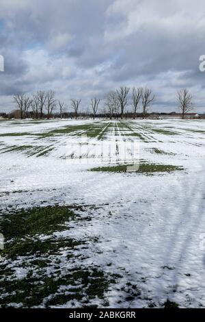 Terreni agricoli nevoso vicino Daglfing fotografati a Dornacher Weg, nei pressi del ponte sul Hüllgraben, vista in direzione nord. [Traduzione automatizzata] Foto Stock