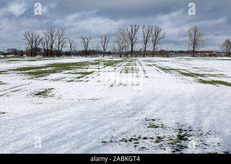 Terreni agricoli nevoso vicino Daglfing fotografati a Dornacher Weg, nei pressi del ponte sul Hüllgraben, vista in direzione nord. [Traduzione automatizzata] Foto Stock